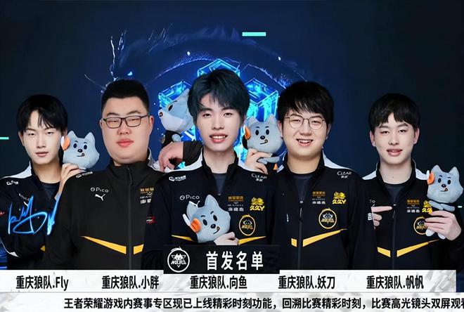 不仅提升了